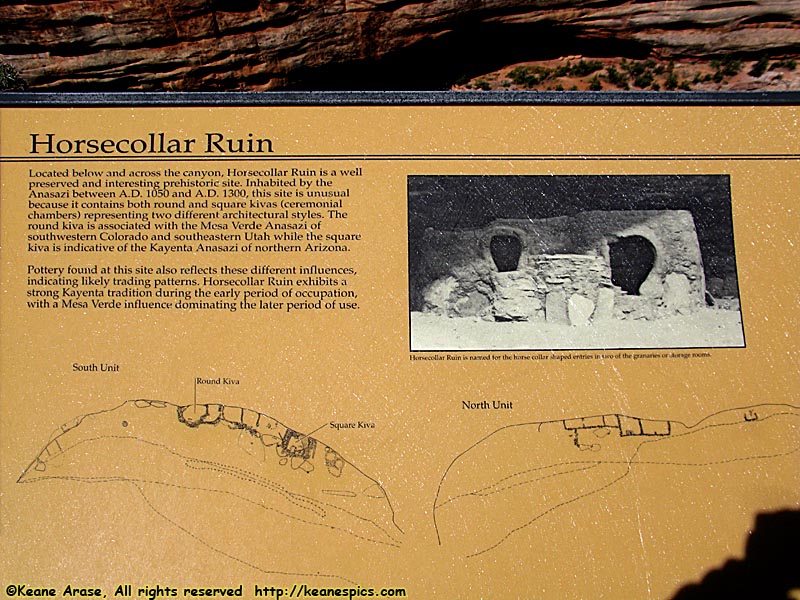 Horsecollar Ruin