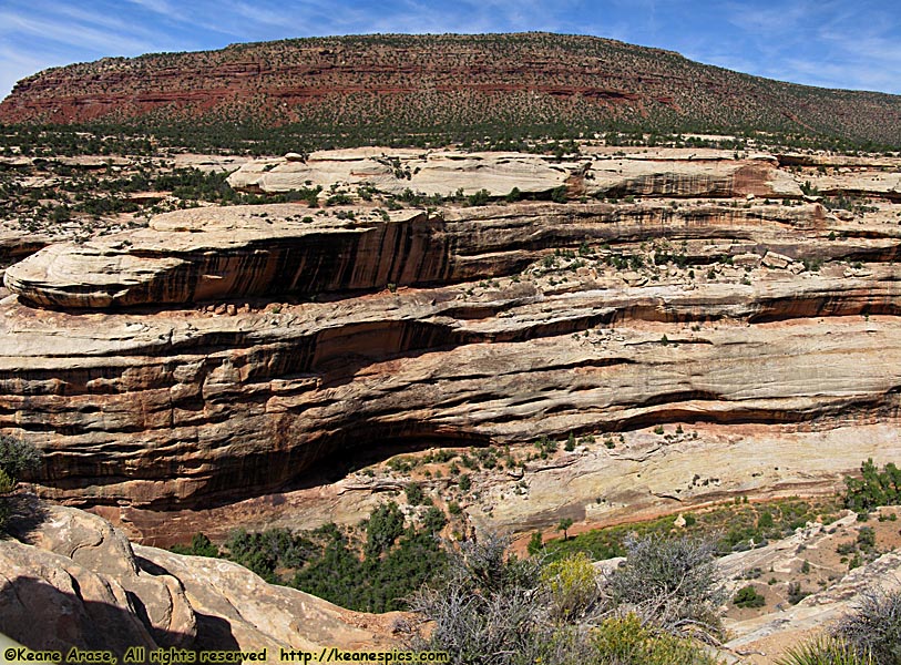 Horsecollar Ruin Panoramic