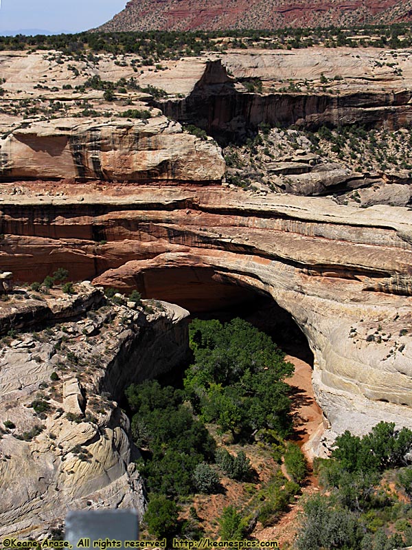 Kachina Bridge