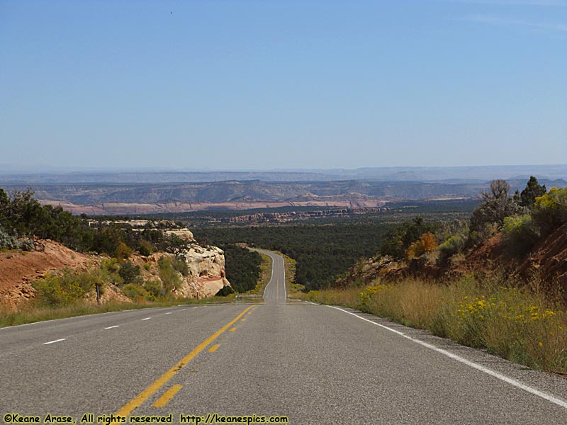 Along SR-95