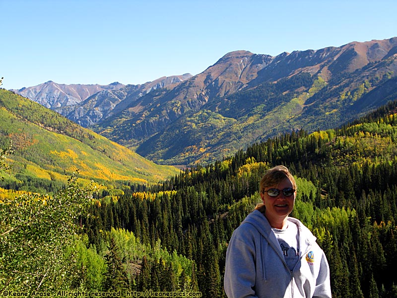 Idarado Mine Site