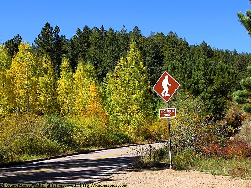 Big Foot Crossing