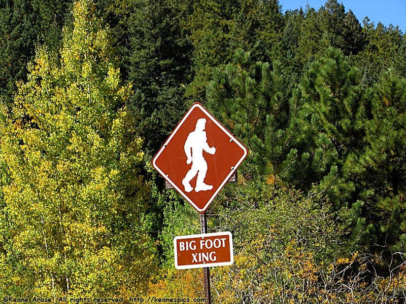 Big Foot Crossing