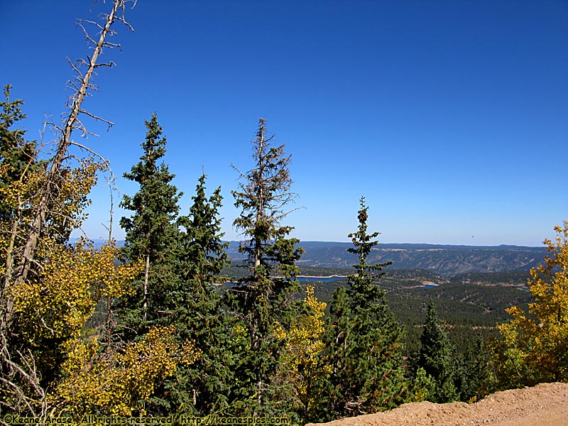 Along Pikes Peak Highway