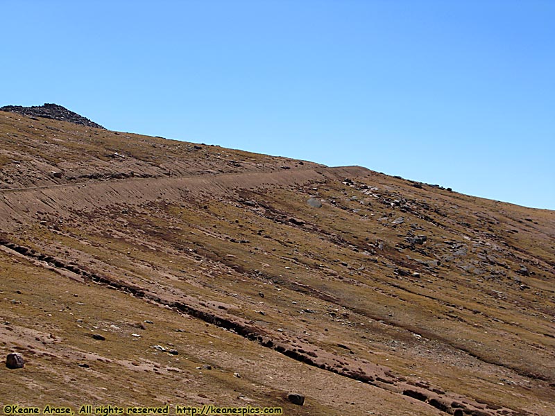 Big Horn Sheep Pullout