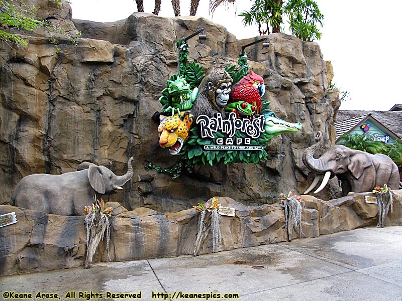 Rainforest Café