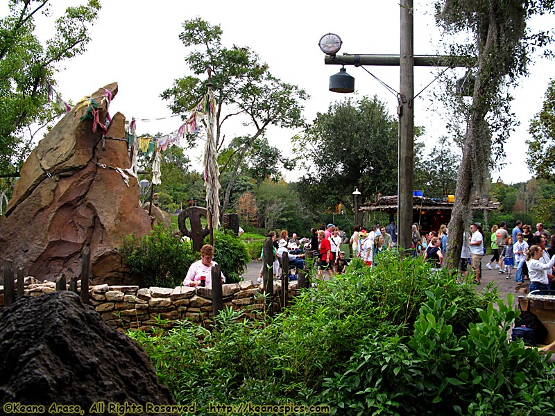 Expedition Everest Queue