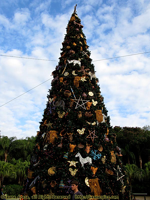 Animal Kingdom's Christmas Trees