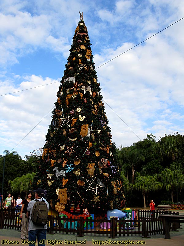 Christmas Tree