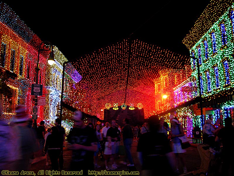 Christmas at DHS / Streets of America