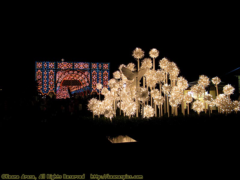 Christmas At Epcot at Night