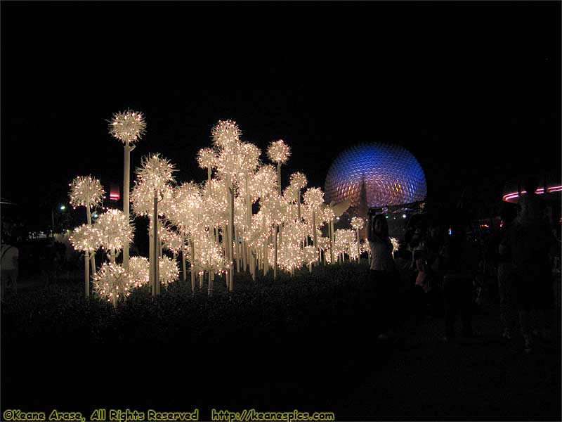 Christmas At Epcot at Night