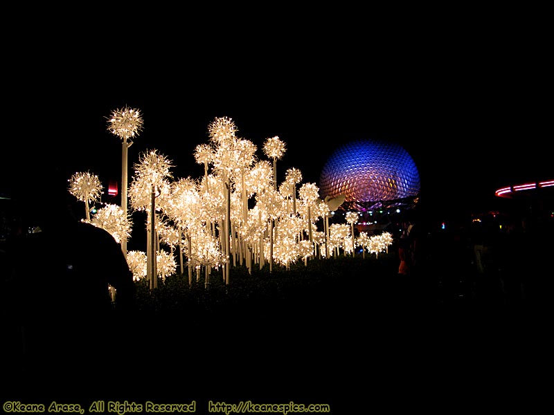 Christmas At Epcot