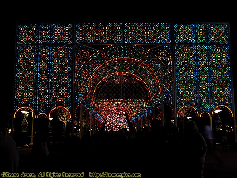 Christmas At Epcot at Night