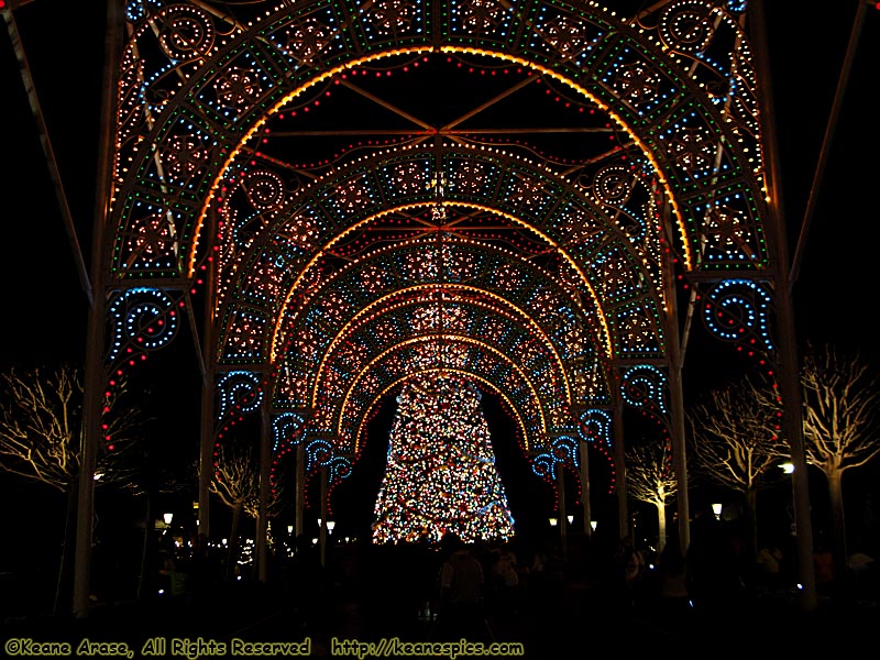 Christmas At Epcot at Night