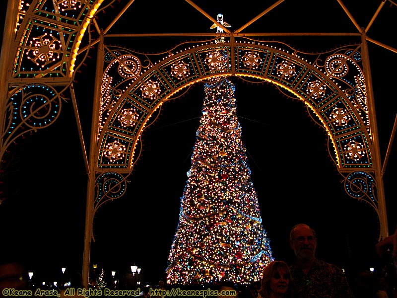 Christmas At Epcot