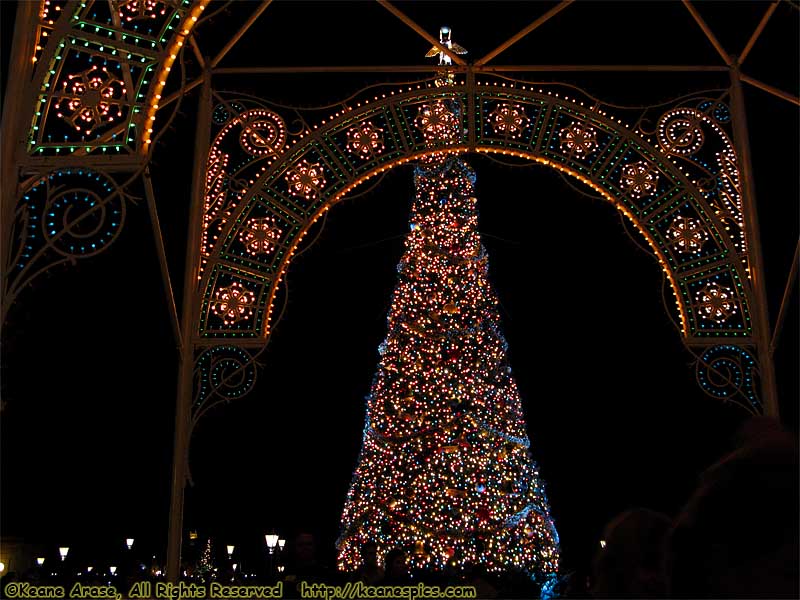 Christmas At Epcot at Night