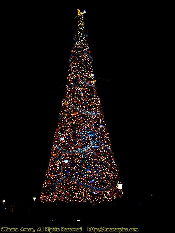 Christmas At Epcot at Night