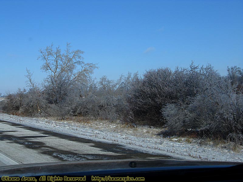 Ice Storm