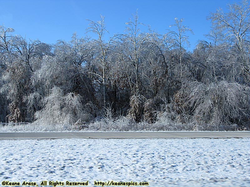 Ice Storm