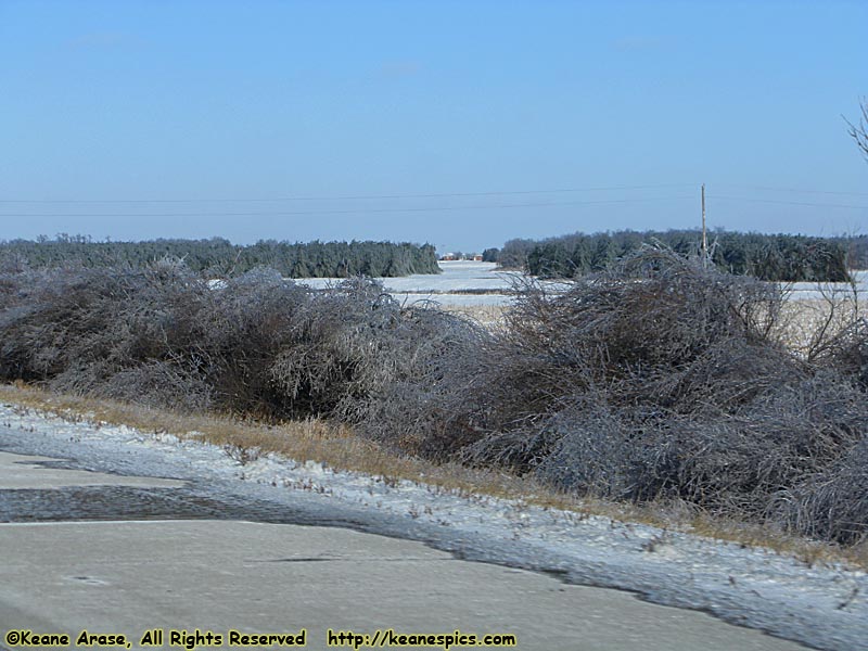 Ice Storm