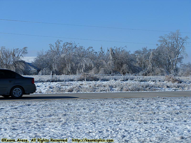 Ice Storm