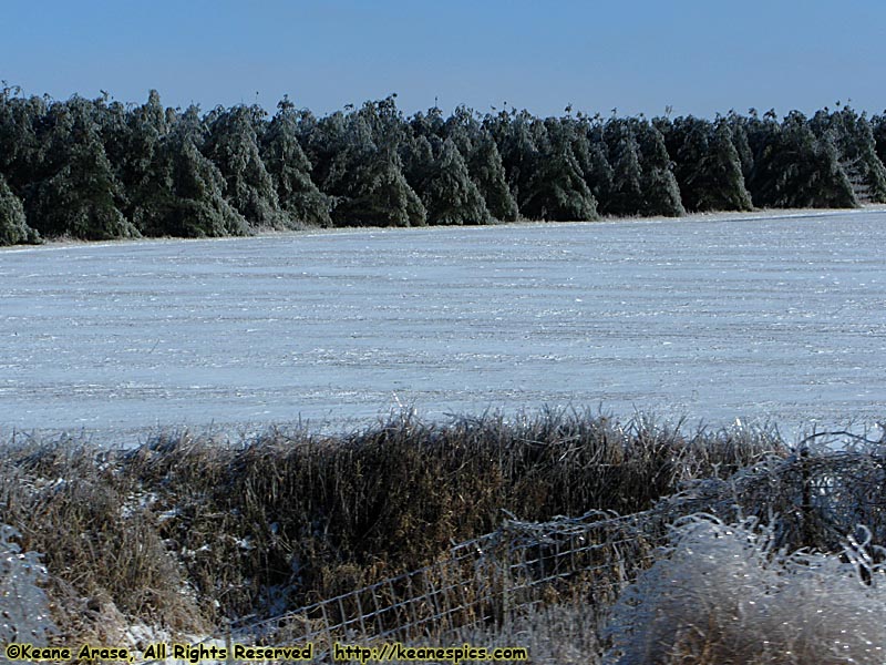 Ice Storm