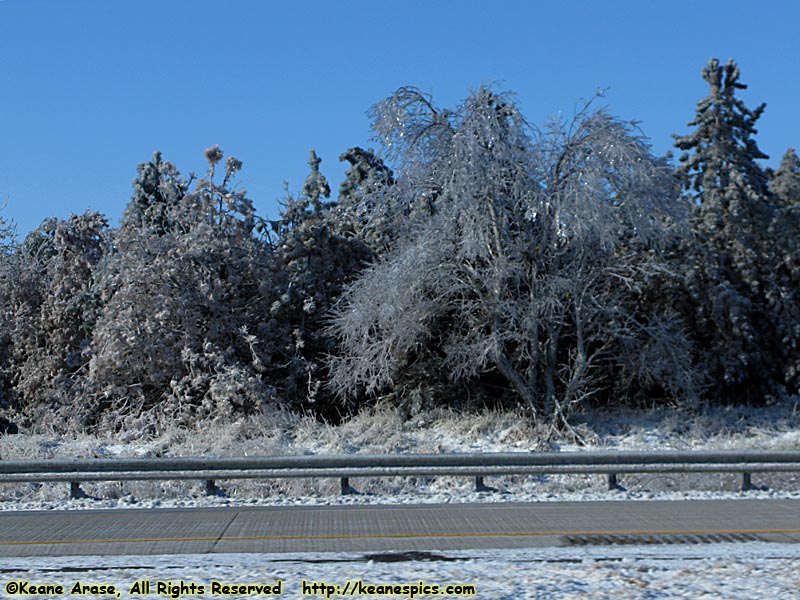 Ice Storm