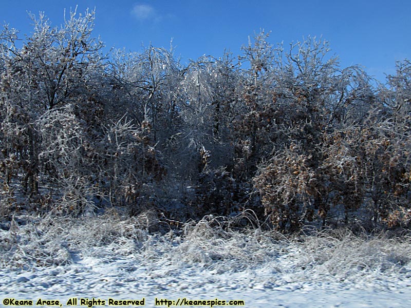 Ice Storm