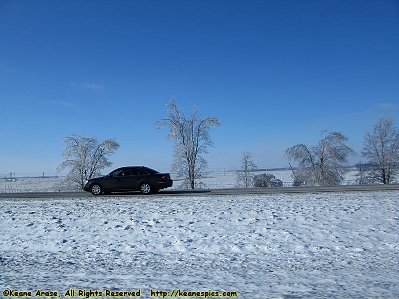 Ice Storm