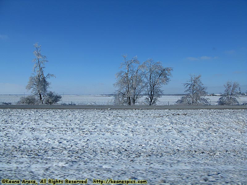 Ice Storm