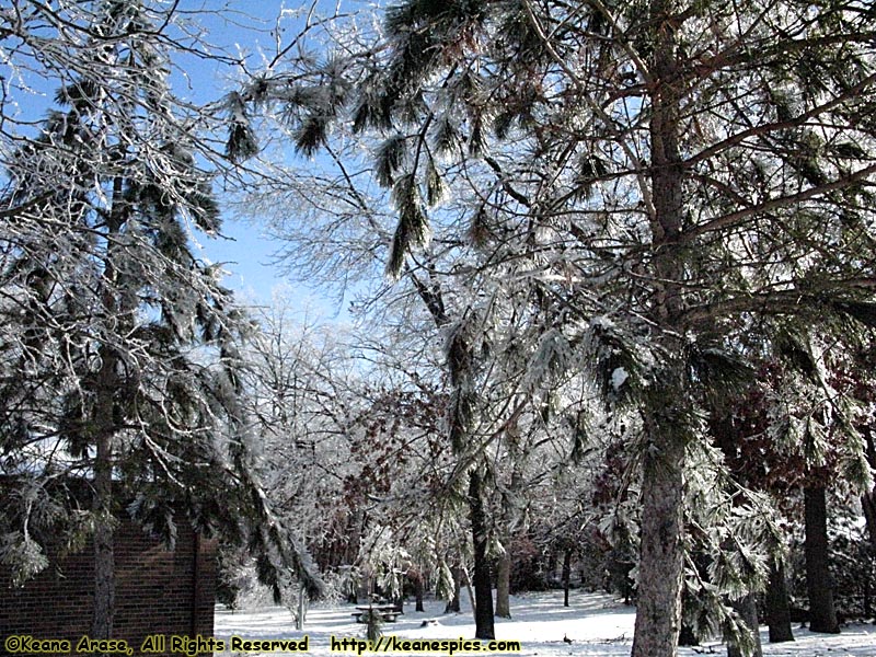 Ice Storm