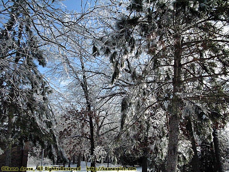 Ice Storm