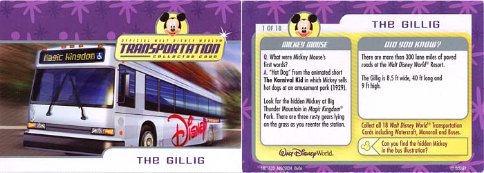 Bus Transportation Card