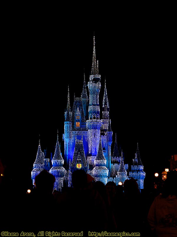 Cindy's Castle in her Castle Lights