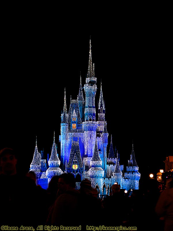 Cindy's Castle in her Castle Lights