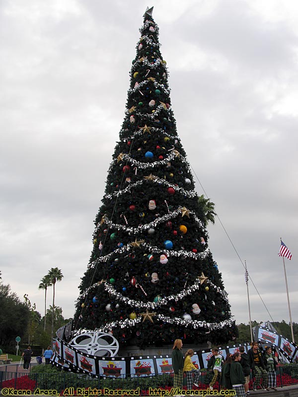 DHS's Christmas Tree