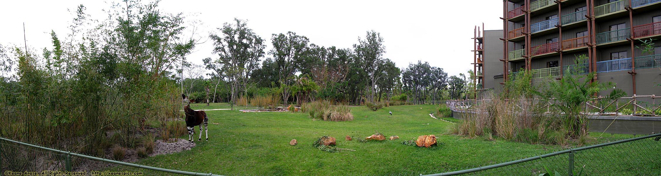 Samawati Spring Pool Area