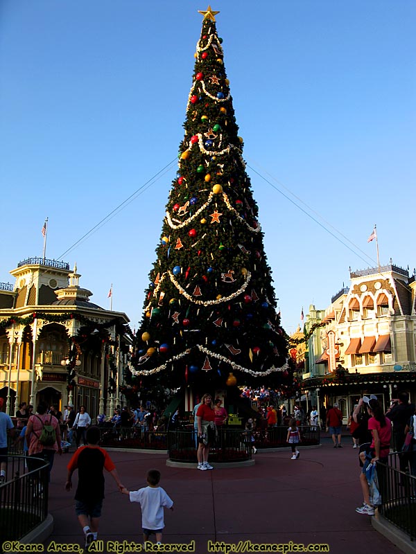 Magic Kingdom's Christmas Tree