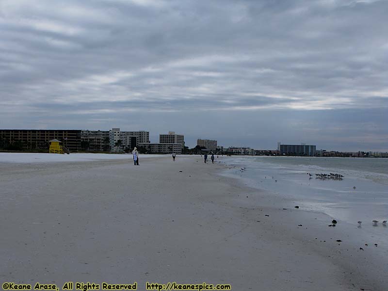 Siesta Beach