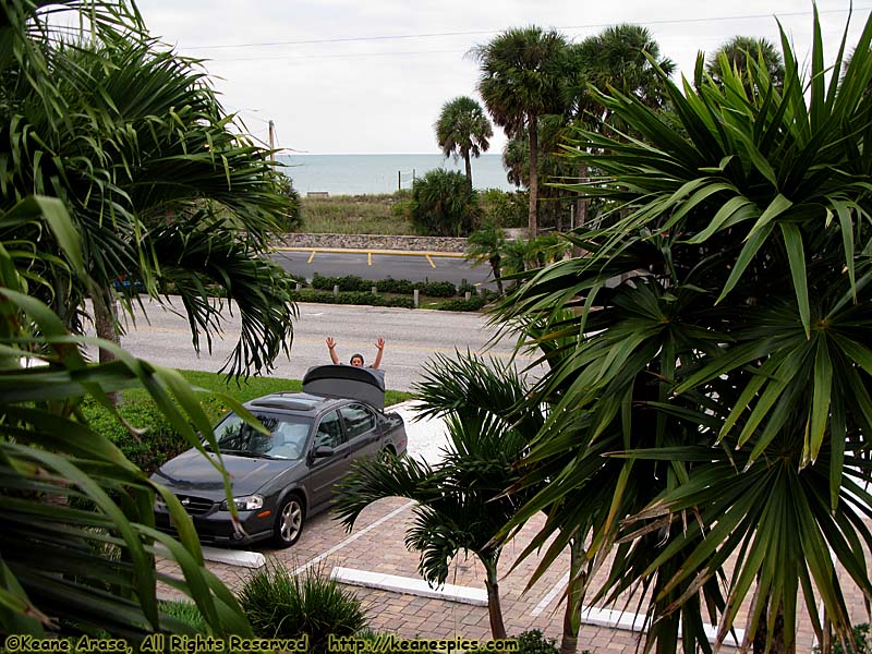 Balcony View