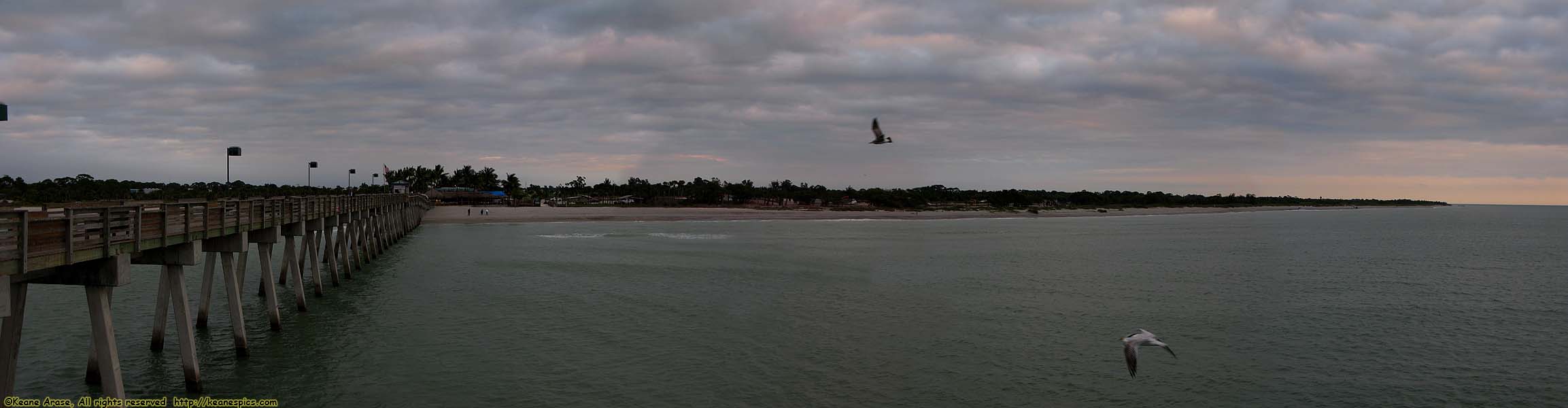 Venice Pier