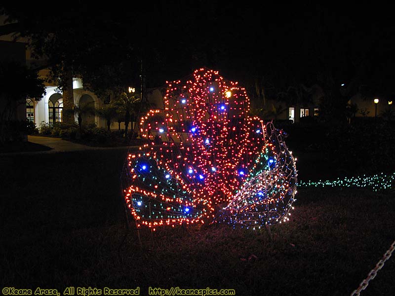 Light Topiaries at City Hall