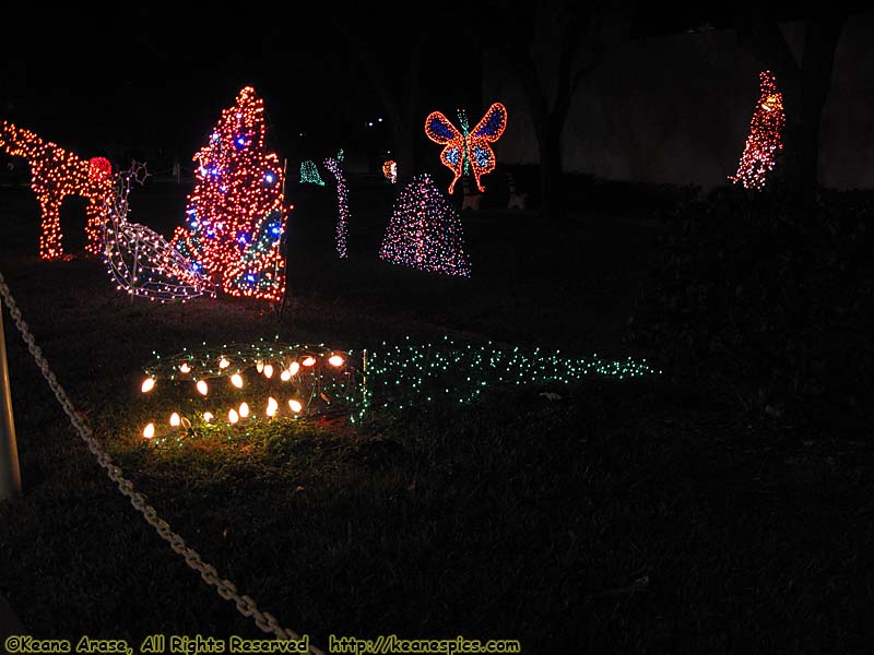 Light Topiaries at City Hall