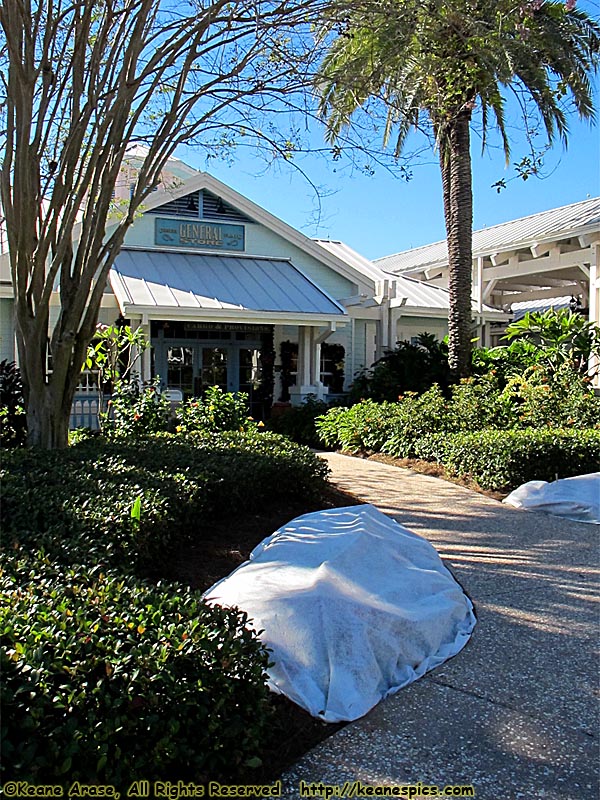 Conch Flats General Store