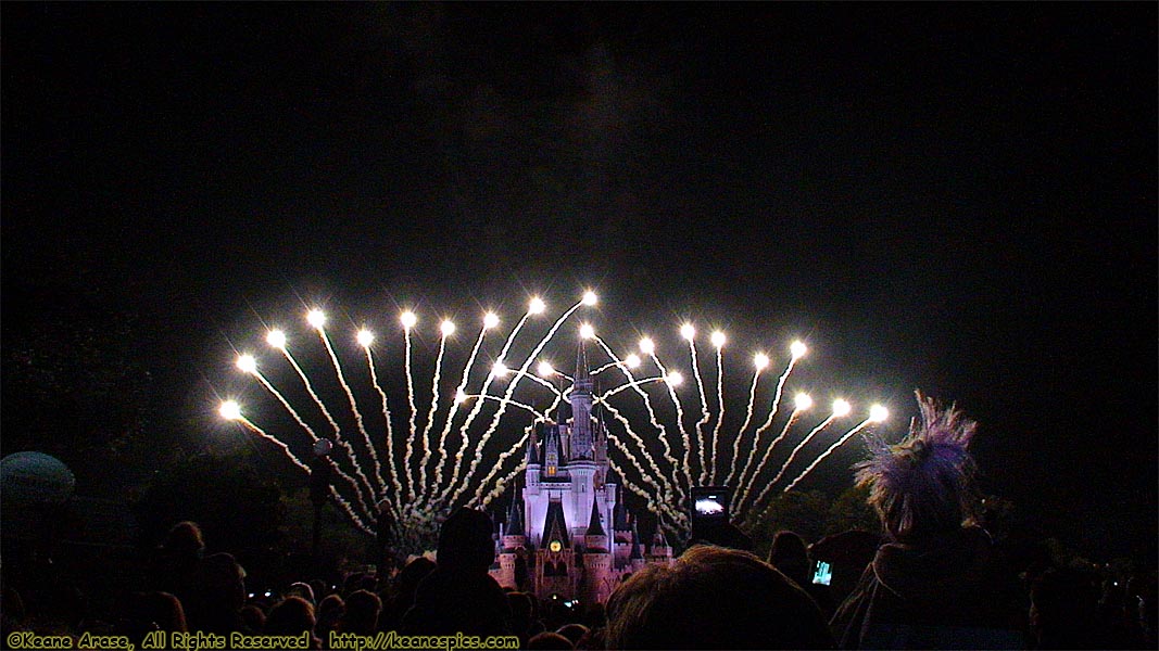 Wishes Nighttime Spectacular