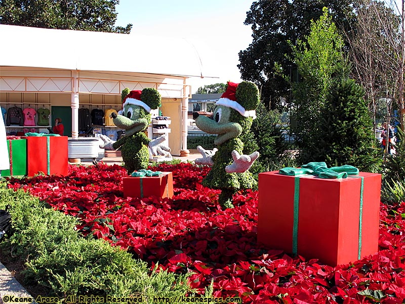 Mickey and Minnie Topiary