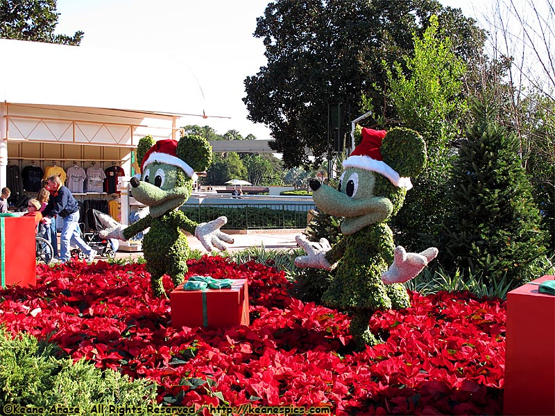 Mickey and Minnie Topiary