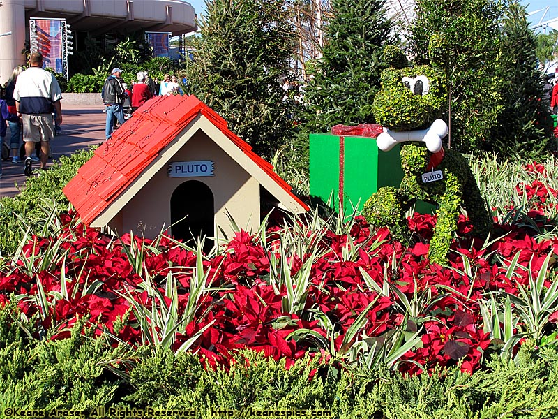 Pluto Topiary