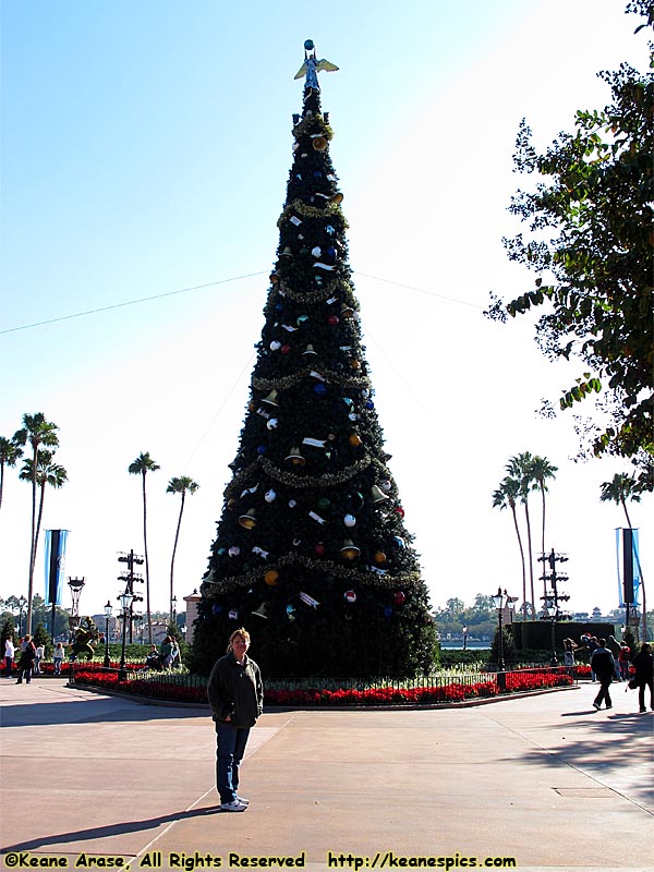 Epcot's Tree